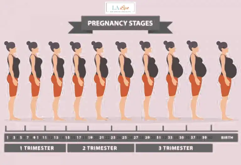 First Trimester (Weeks 1–12): Early Changes You Might Not Notice Wanstead